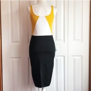 Zara: Black Bodycon Dress.